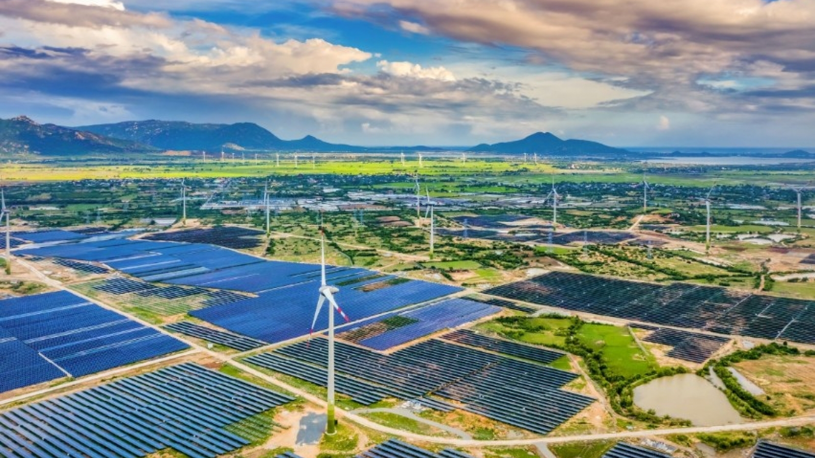 Vietnam should prioritise digital education, AI and green energy: Israeli expert